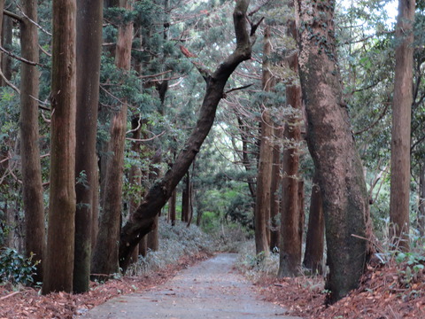 式内社・足尾神社(あしおじんじゃ)画像