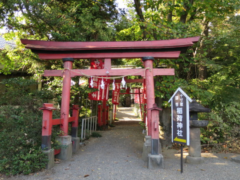 飯玉神社(いいだまじんじゃ)画像