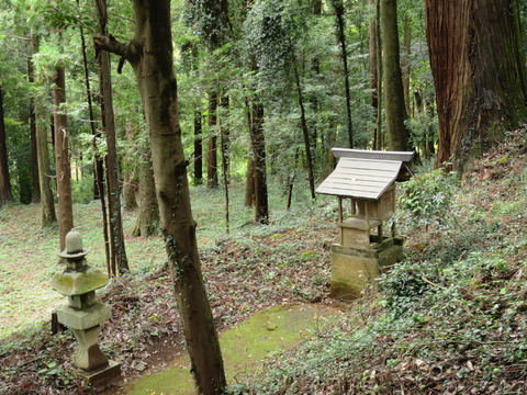 下野国三宮・村檜神社(むらひじんじゃ)画像