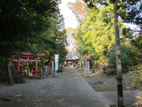 飯玉神社(いいだまじんじゃ)画像