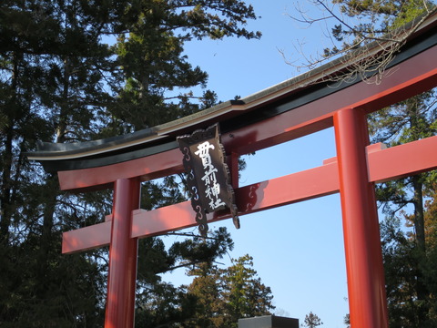 一之宮貫前神社（いちのみやぬきさきじんじゃ）