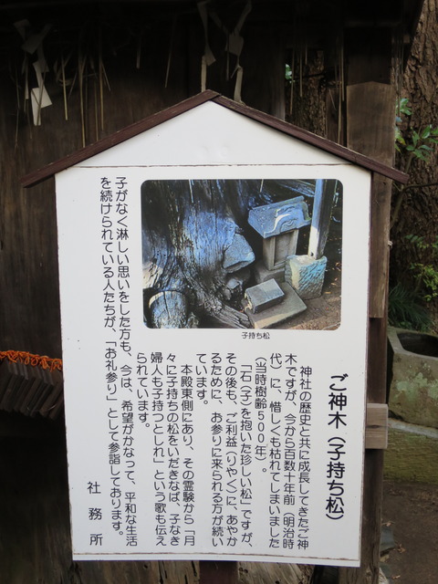 式内社・胎安神社(たやすじんじゃ)画像