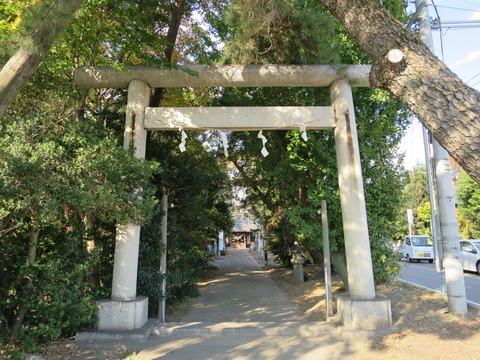 飯玉神社(いいだまじんじゃ)画像