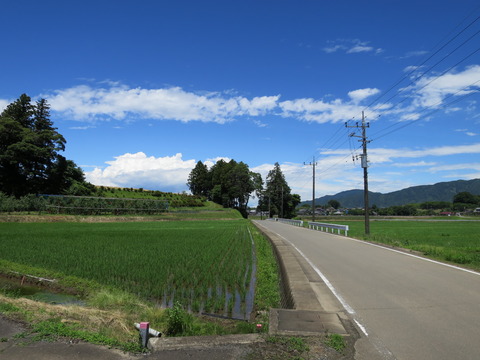 式内社・鴨大神御子神主玉神社(かもおおかみみこかみぬしたまじんじゃ)画像