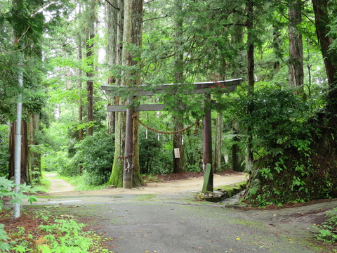 式内社・大山田神社（おおやまだじんじゃ）画像