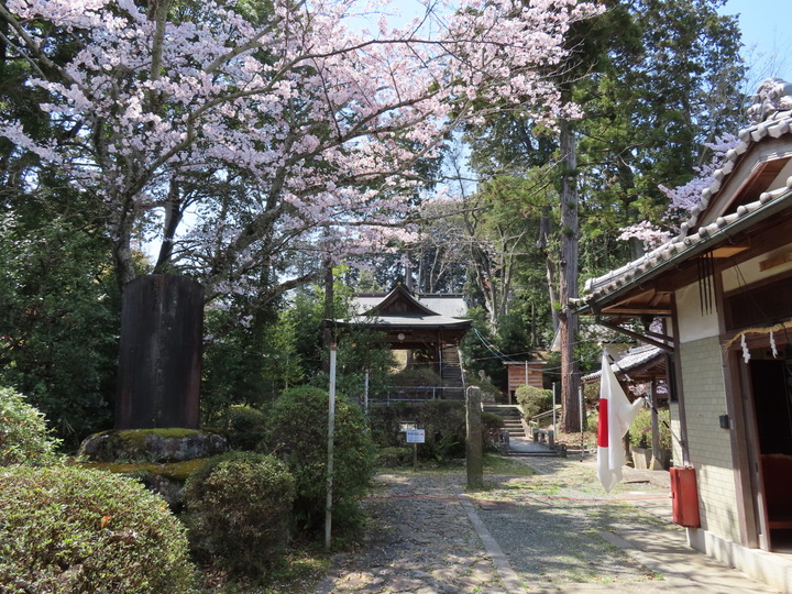 Murayama008