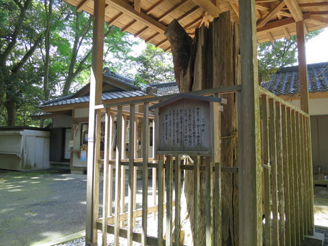 式内社・泉神社(いずみじんじゃ)画像