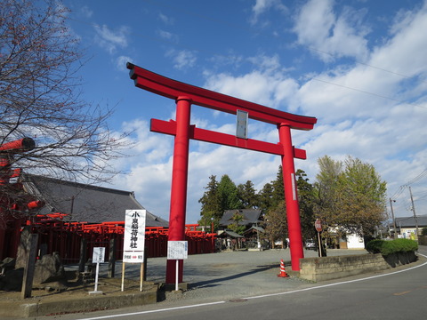 小泉稲荷神社(こいずみいなりじんじゃ)画像