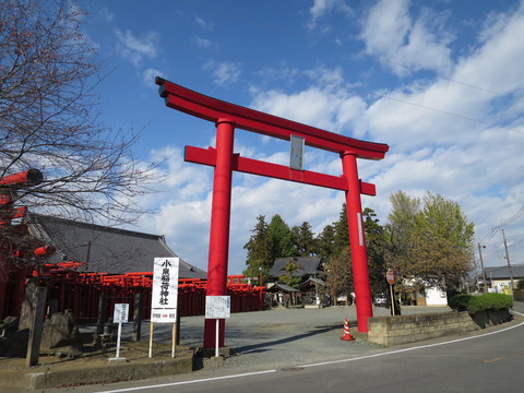 小泉稲荷神社（こいずみいなりじんじゃ）画像