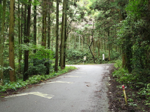 大平山神社（おおひらさんじんじゃ）画像