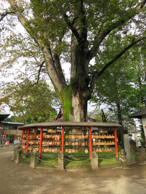 上野国総社・総社神社(そうじゃじんじゃ)画像