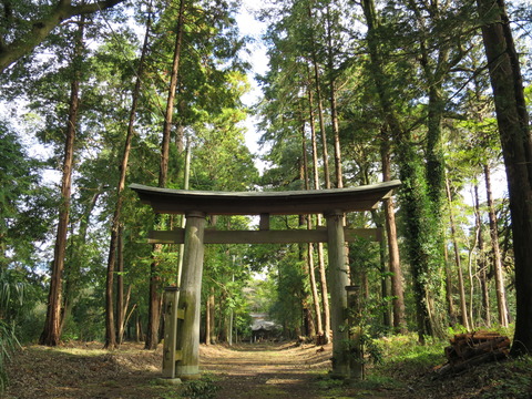 式内社・楯縫神社(たてぬいじんじゃ)画像