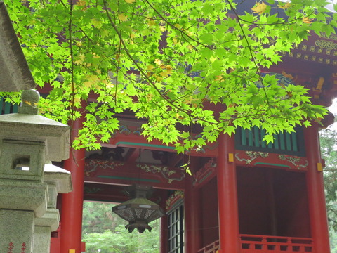 三峯神社(みつみねじんじゃ)画像