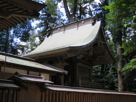 式内社・大國玉神社(おおくにたまじんじゃ)画像