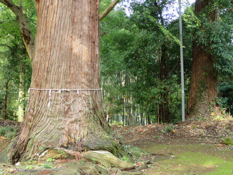 式内社・楯縫神社(たてぬいじんじゃ)画像