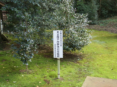 式内社・子安神社(こやすじんじゃ)画像