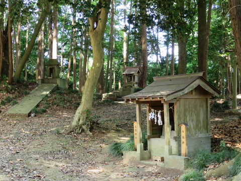 式内社・長幡部神社（ながはたべじんじゃ）画像