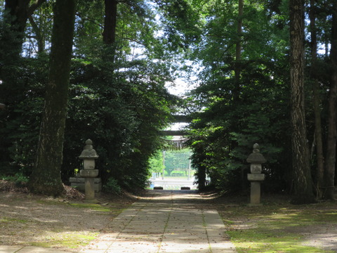 式内社・大國玉神社(おおくにたまじんじゃ)画像