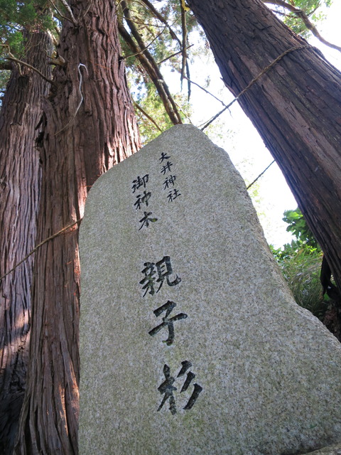式内社・大井神社(おおいじんじゃ)画像
