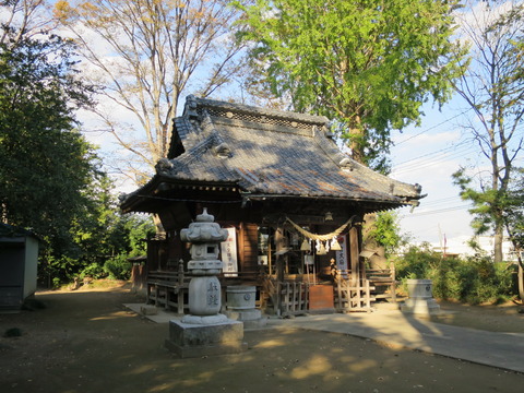 飯玉神社(いいだまじんじゃ)画像