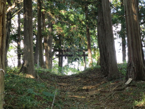 上野国五宮・大國神社(おおくにじんじゃ)画像