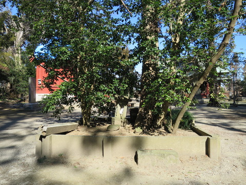 式内社・飽富神社(あきとみじんじゃ)