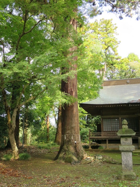 式内社・楯縫神社(たてぬいじんじゃ)画像