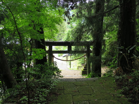 式内社・大山田神社（おおやまだじんじゃ）画像