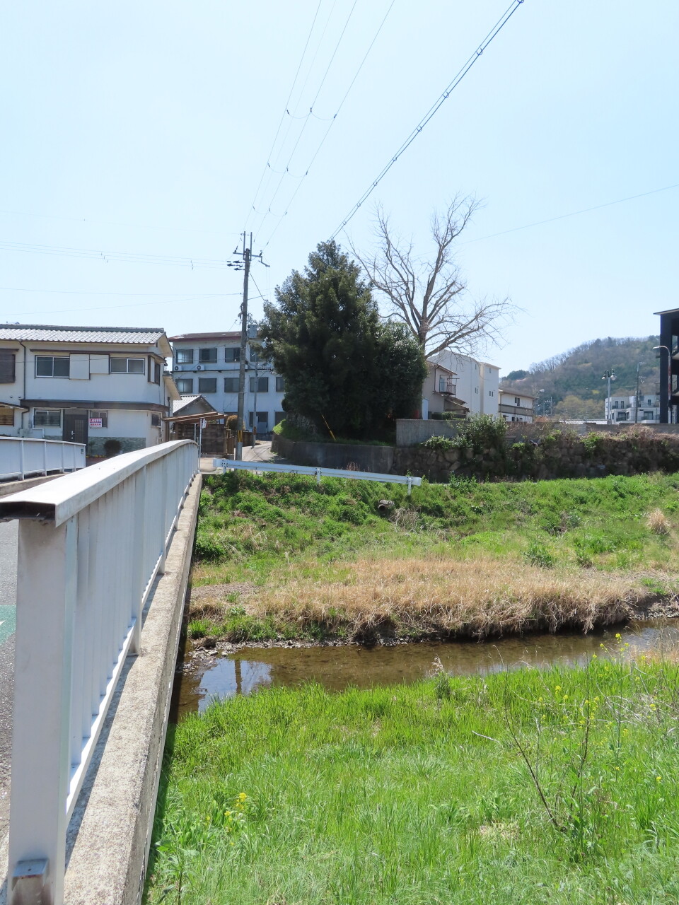 式内社・伊達神社（だてじんじゃ・余部町）／京都府亀岡市 令和式神名帳