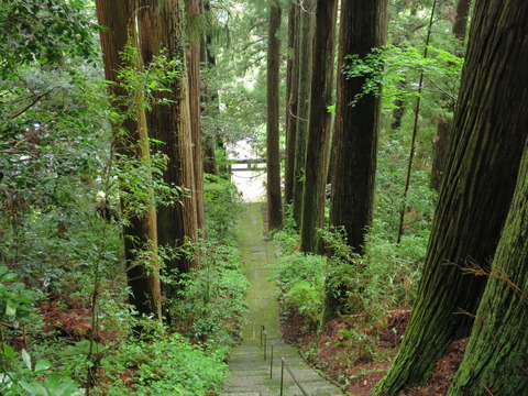 式内社・大山田神社（おおやまだじんじゃ）画像