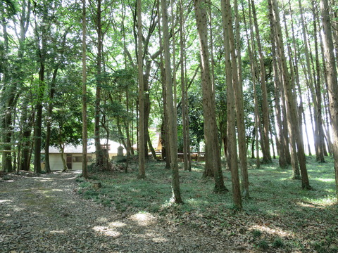 式内社・長幡部神社（ながはたべじんじゃ）画像