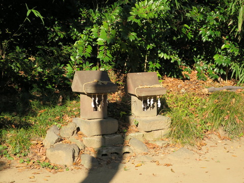 飯玉神社(いいだまじんじゃ)画像