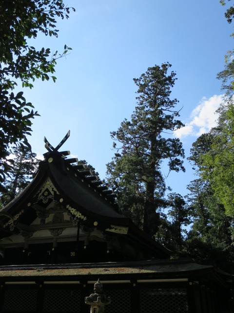 【下総国一宮】香取神宮(かとりじんぐう)画像