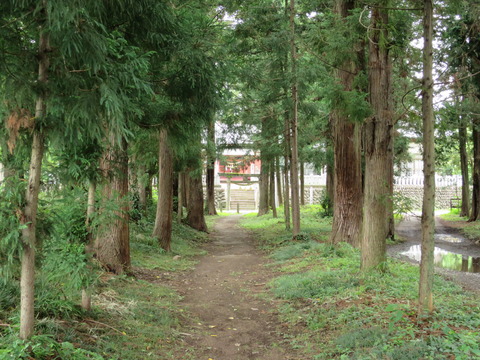 上野国三宮・三宮神社(さんのみやじんじゃ)画像