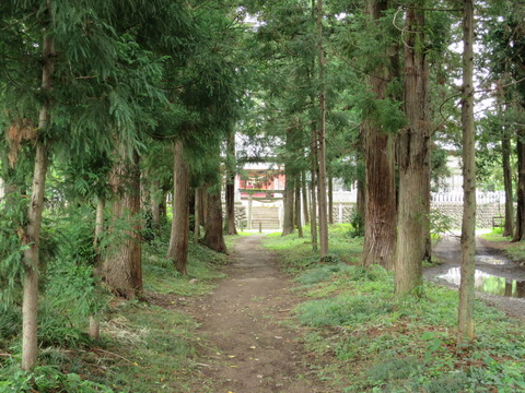 上野国三宮・三宮神社（さんのみやじんじゃ）画像