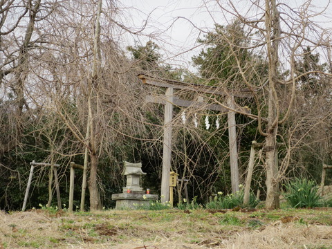 【相模国三宮】比々多神社(ひびたじんじゃ)