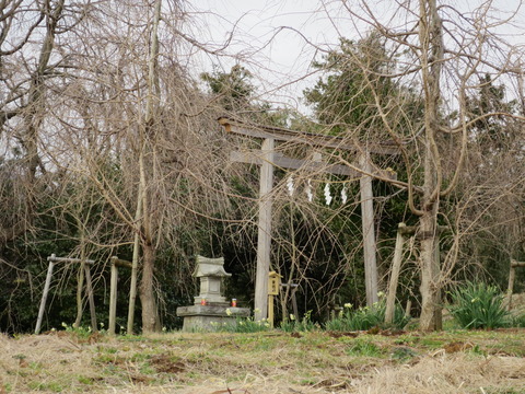 【相模国三宮】比々多神社（ひびたじんじゃ）