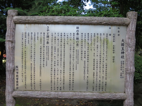 式内社・大國玉神社(おおくにたまじんじゃ)画像