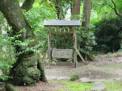 上野国四宮・甲波宿禰神社（かわすくねじんじゃ）画像