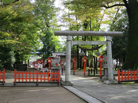 上野国総社・総社神社(そうじゃじんじゃ)画像
