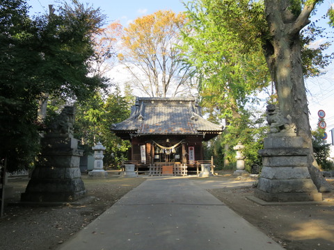 飯玉神社(いいだまじんじゃ)画像