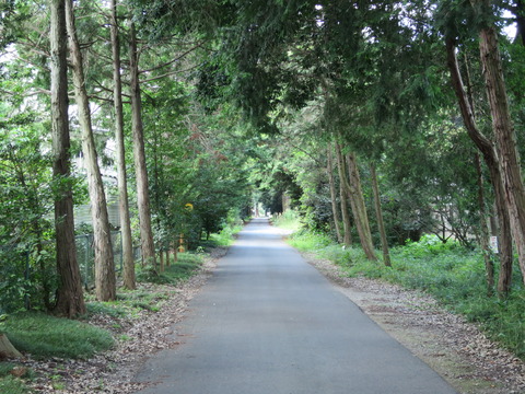 式内社・安房神社(あわじんじゃ)画像