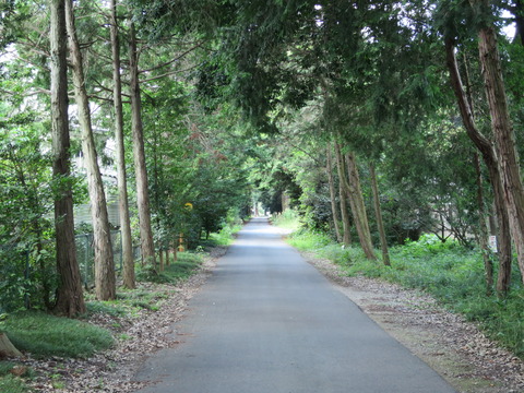 式内社・安房神社（あわじんじゃ）画像