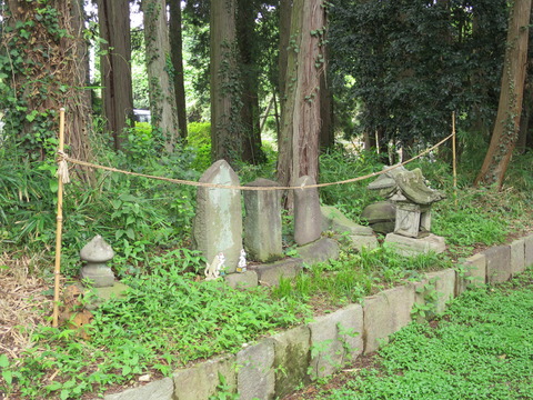 上野国三宮・三宮神社(さんのみやじんじゃ)画像