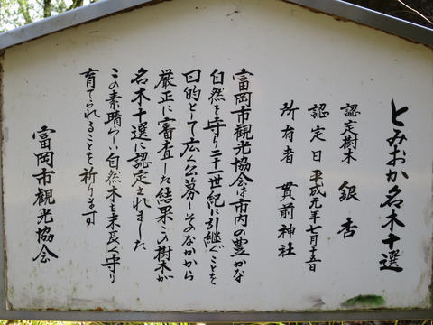 一之宮貫前神社（いちのみやぬきさきじんじゃ）