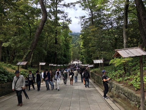 【出雲国一宮】出雲大社(いずもおおやしろ)画像