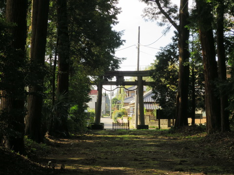 式内社・楯縫神社（たてぬいじんじゃ）画像