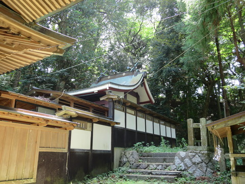 式内社・泉神社(いずみじんじゃ)画像