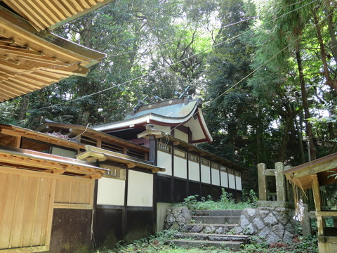 式内社・泉神社（いずみじんじゃ）画像