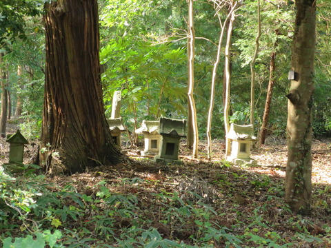 式内社・楯縫神社（たてぬいじんじゃ）画像